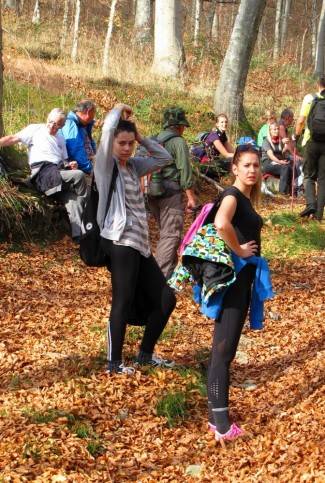 Brezovo polje: Uspon na najviši vrh u Slavoniji