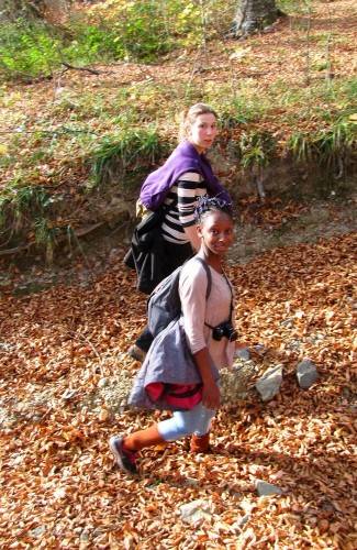 Brezovo polje: Uspon na najviši vrh u Slavoniji