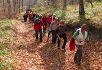 Brezovo polje: Uspon na najviši vrh u Slavoniji