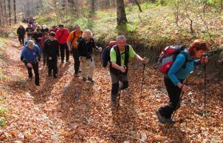 Brezovo polje: Uspon na najviši vrh u Slavoniji