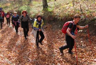 Brezovo polje: Uspon na najviši vrh u Slavoniji