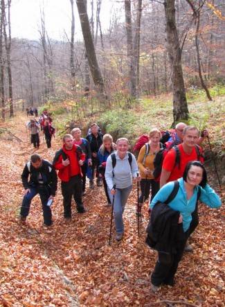 Brezovo polje: Uspon na najviši vrh u Slavoniji
