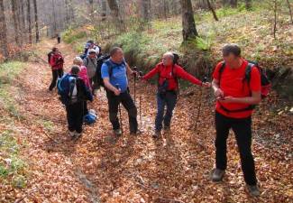 Brezovo polje: Uspon na najviši vrh u Slavoniji