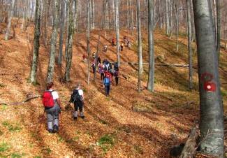 Brezovo polje: Uspon na najviši vrh u Slavoniji