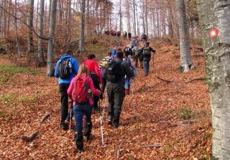 Brezovo polje: Uspon na najviši vrh u Slavoniji