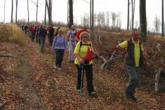 Brezovo polje: Uspon na najviši vrh u Slavoniji