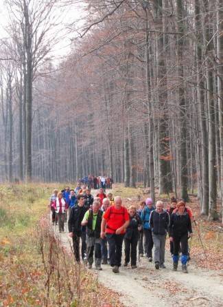 Brezovo polje: Uspon na najviši vrh u Slavoniji