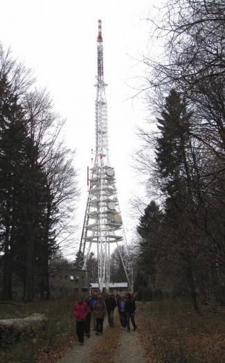 Brezovo polje: Uspon na najviši vrh u Slavoniji