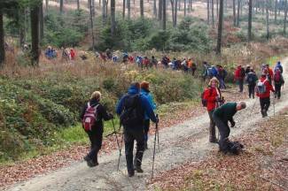 Brezovo polje: Uspon na najviši vrh u Slavoniji