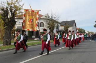 Vukovar: Kolona sjećanja, 2015.