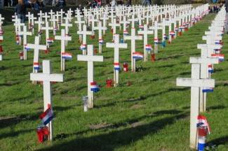 Vukovar: Kolona sjećanja, 2015.