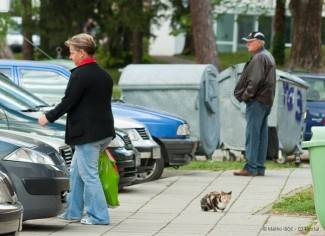 Subotnja šetnja Kutjevom, Pakracom i Lipikom