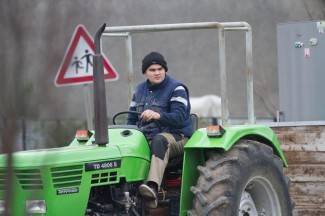 Šetnja gradom: Pleternica i Kutjevo, 16.12.2015.