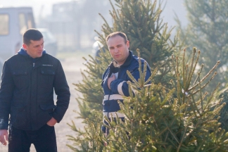 Šetnja gradom: Pleternica, 23.12.2015.