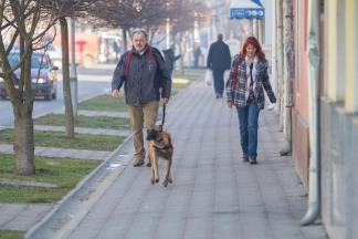 Šetnja gradom: Požega i Pleternica, 26.12.2015.