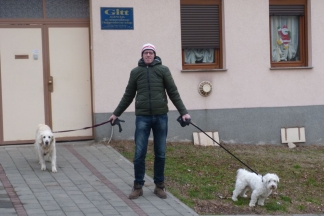 Požega: Prohladna šetnja Požegom, 2.1.2016.