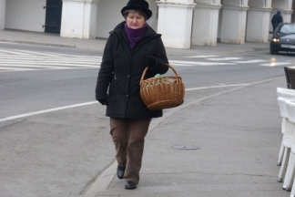 Požega: Prohladna šetnja Požegom, 2.1.2016.