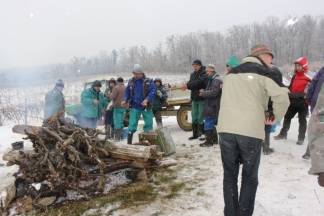 Ledena berba traminca u Hrnjevcu, 4.1.2015.
