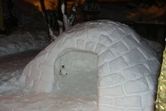 Vaše snježne fotografije iz cijele županije (2.dio),  8.1.2016.