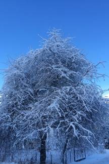 Vaše snježne fotografije iz cijele županije (2.dio),  8.1.2016.