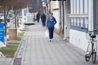 Šetnja gradom: Pleternica i Kutjevo, 13.1.2016.