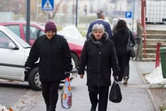 Šetnja gradom: Pleternica i Kutjevo, 13.1.2016.