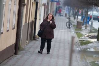 Šetnja gradom: Pleternica i Kutjevo, 13.1.2016.