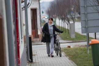 Šetnja gradom: Pleternica i Kutjevo, 13.1.2016.