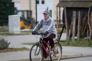 Šetnja gradom: Pleternica i Kutjevo, 13.1.2016.