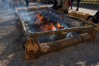 Vincelovo u vinariji Krauthaker, 21.1.2016.