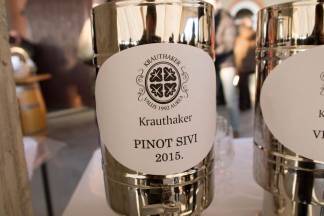 Vincelovo u vinariji Krauthaker, 21.1.2016.
