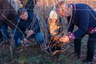 Vincelovo u vinariji Krauthaker, 21.1.2016.