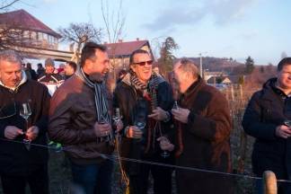 Vincelovo u vinariji Krauthaker, 21.1.2016.