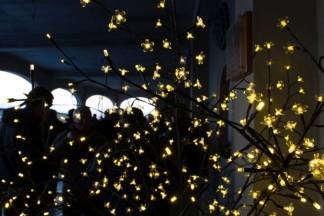 Vincelovo u vinariji Krauthaker, 21.1.2016.