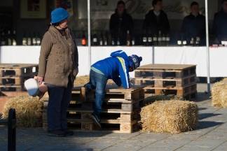 Vincelovo u Kutjevu i Vinkovo u Velikoj, 22.1.2016.
