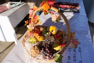 Vincelovo u Kutjevu i Vinkovo u Velikoj, 22.1.2016.