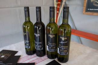 Vincelovo u Kutjevu i Vinkovo u Velikoj, 22.1.2016.