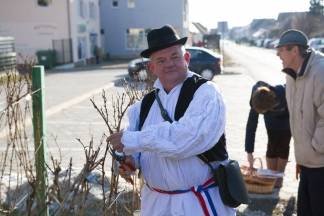 Vincelovo u Kutjevu i Vinkovo u Velikoj, 22.1.2016.