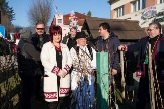 Vincelovo u Kutjevu i Vinkovo u Velikoj, 22.1.2016.