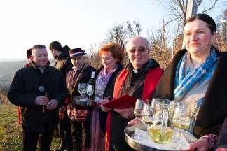 Proslava Vincelova u šatoru Kutjeva d.d., 22.1.2016.