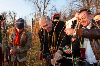 Proslava Vincelova u šatoru Kutjeva d.d., 22.1.2016.