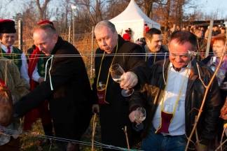 Proslava Vincelova u šatoru Kutjeva d.d., 22.1.2016.