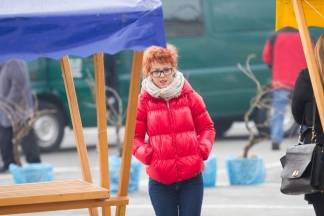 Šetnja gradom: Požega, 23.1.2016.