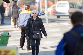 Šetnja gradom: Pleternica i Kutjevo, 17.1.2016.