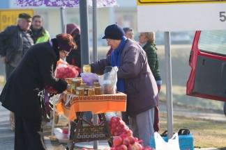 Šetnja gradom: Pleternica i Kutjevo, 17.1.2016.
