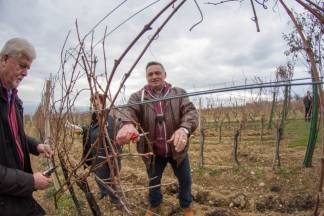 Vincelovo kod Ive Žuljevića (Metalija-trans) u Dragi, 30.1.2016.