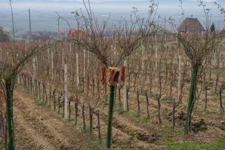 Vincelovo kod Ive Žuljevića (Metalija-trans) u Dragi, 30.1.2016.