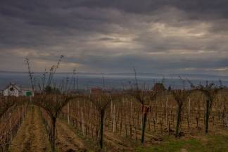 Vincelovo kod Ive Žuljevića (Metalija-trans) u Dragi, 30.1.2016.