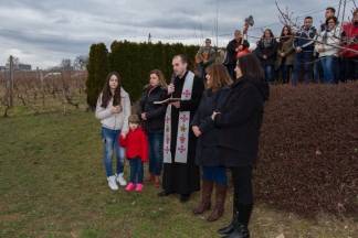 Vincelovo kod Ive Žuljevića (Metalija-trans) u Dragi, 30.1.2016.