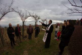 Vincelovo kod Ive Žuljevića (Metalija-trans) u Dragi, 30.1.2016.